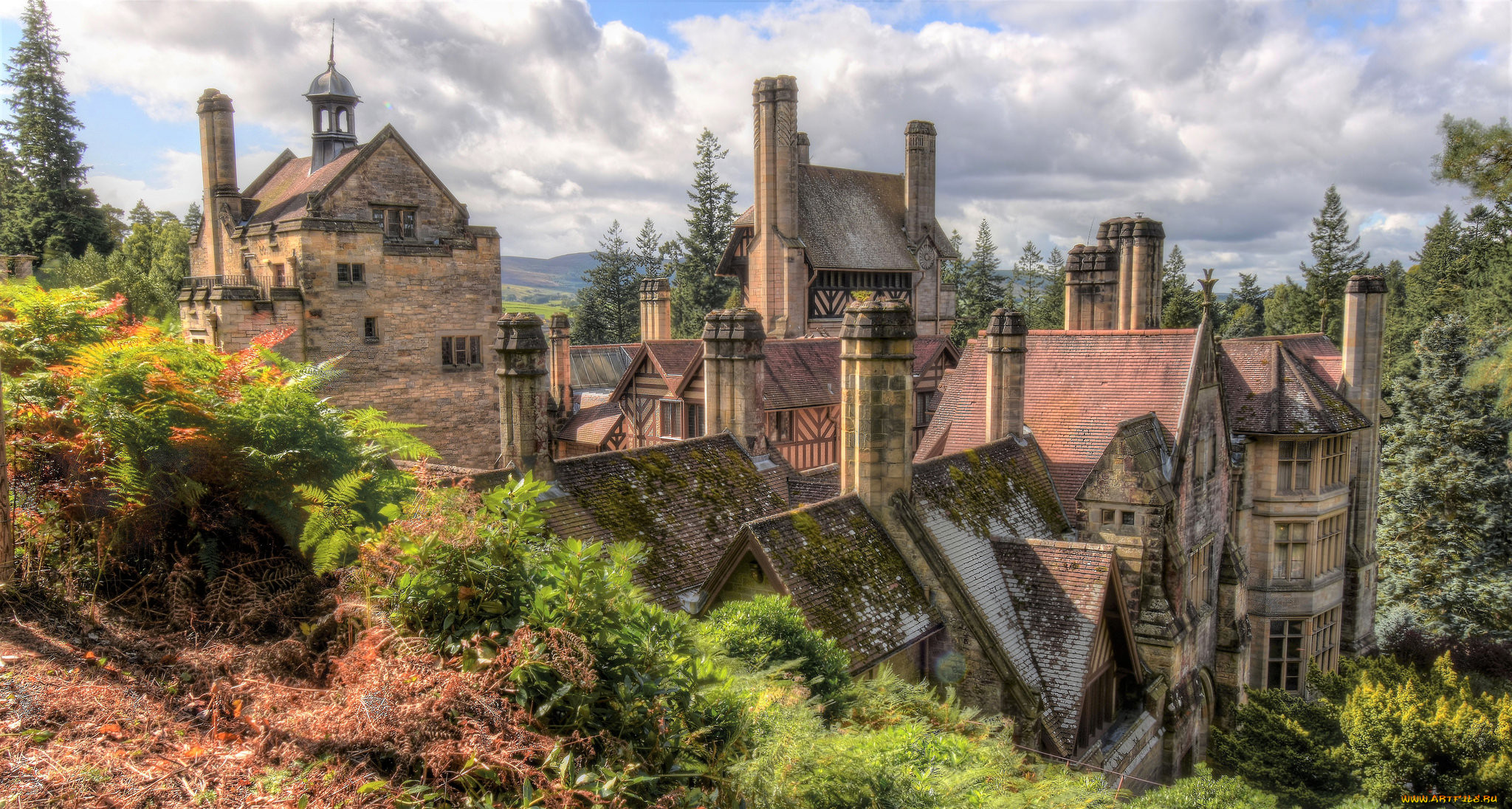 chimney heaven, , - ,  , 